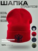 Шапка зимняя Россия с гербом красная