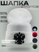 Шапка зимняя Россия с гербом белая