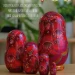 Матрешка деревянная авторская Москва 5 мест 11 см (0129910-1)
